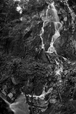 Trouver son chemin_7943349808_l.jpg